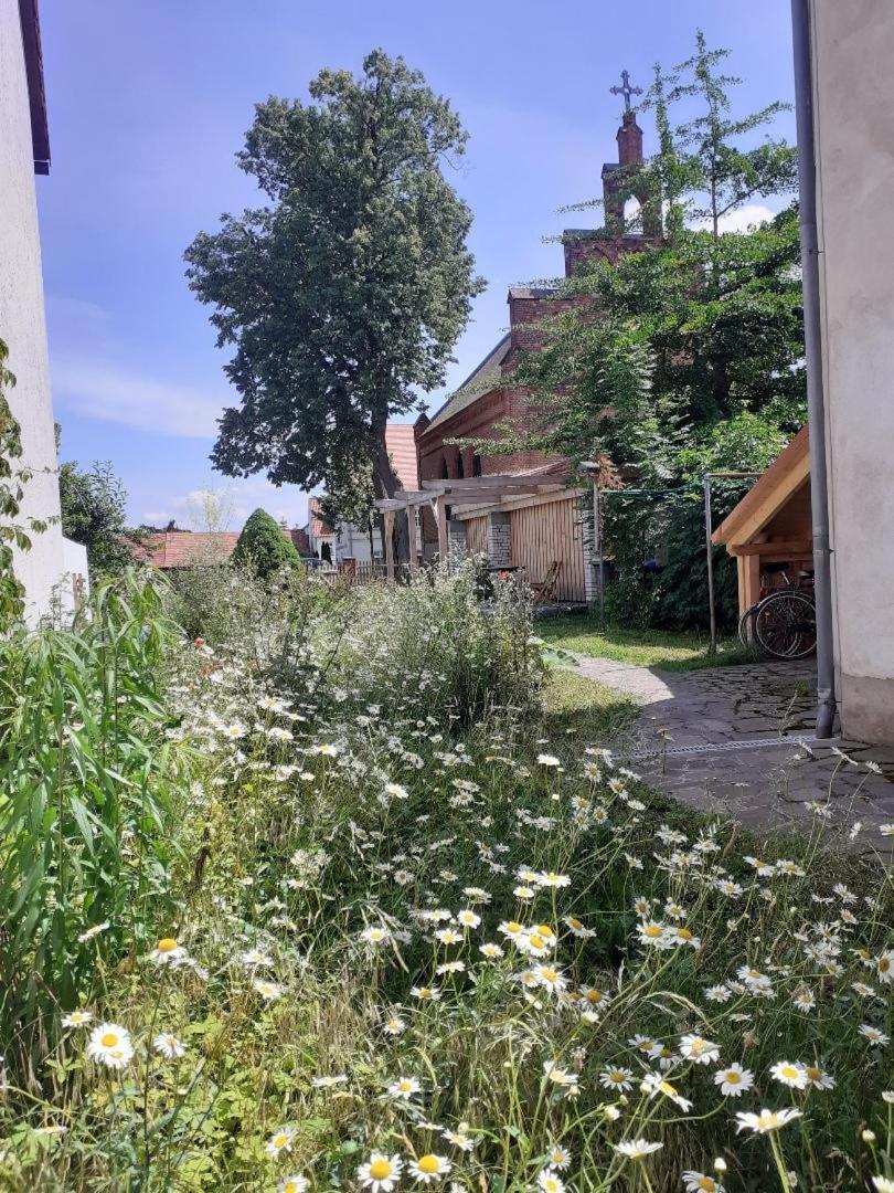 Ferienwohnung Martinsblick Angermunde Kültér fotó